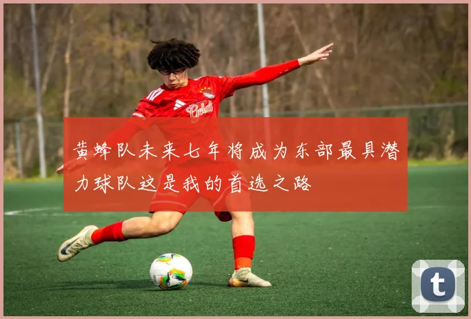 黄蜂队未来七年将成为东部最具潜力球队这是我的首选之路