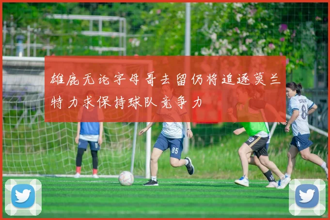 雄鹿无论字母哥去留仍将追逐莫兰特力求保持球队竞争力