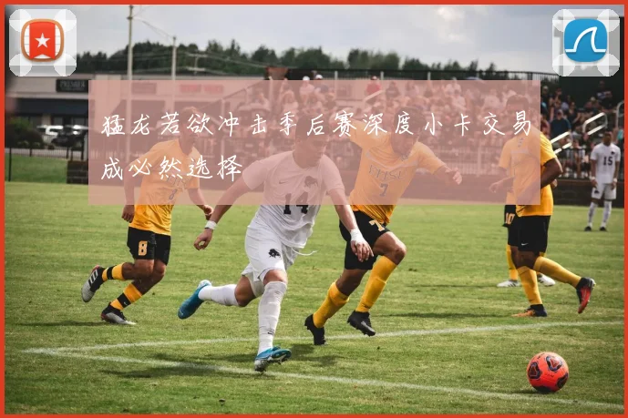 猛龙若欲冲击季后赛深度小卡交易成必然选择